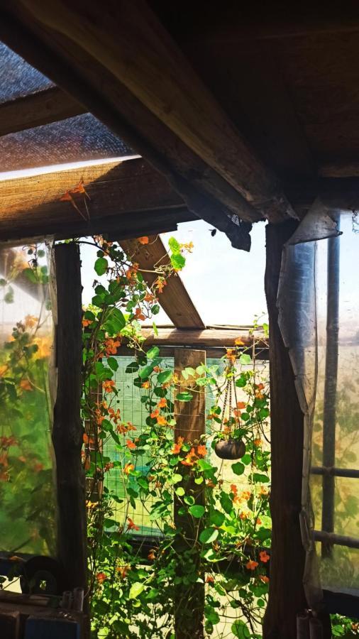Bunker Hostel Cabo Polonio Luaran gambar